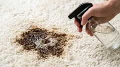 Mrlje i tragovi će nestati s vašeg tepiha bez traga: jednostavna metoda bez kemijskog čišćenja.