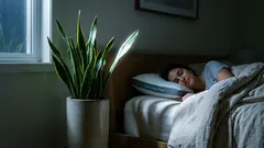 Tri kućne biljke za spavaću sobu koje mogu poboljšati san i pročišćavati zrak