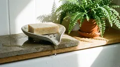 Sapun će ostati suh i neće se pokvariti u posudici za sapun: korisni savjeti iskusnih kućanica