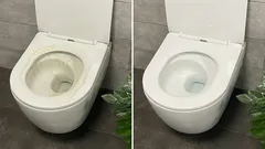 Dvije tablete na pola litre vode i čak će i najstariji WC-i zasjati kao novi.