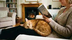 Mačke prepoznaju ove četiri vrste ljudi kao svoje. Ostali su samo osoblje za usluge.