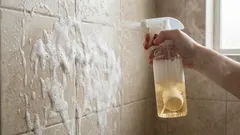 Čudesni lijek: zašto svi čiste kupaonice tabletama za perilicu posuđa