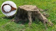  U vrtu nema ni traga panju. Isprobana i provjerena metoda za vrtlara.