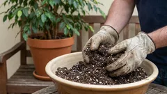 Zašto ne bacam staru zemlju iz tegli